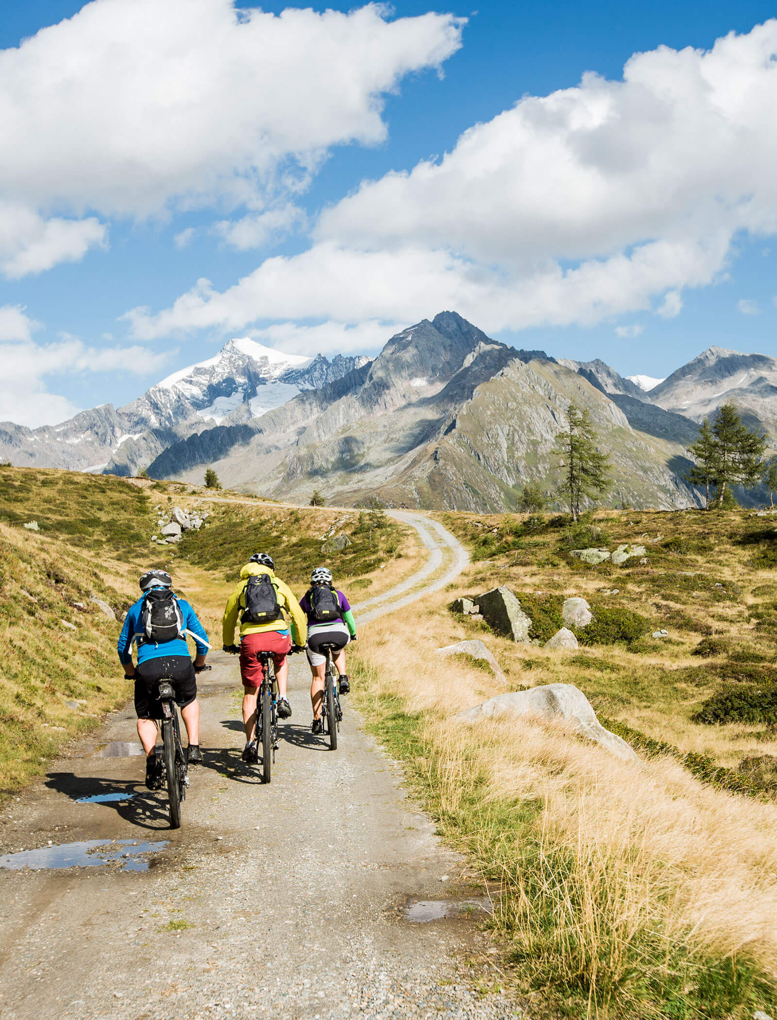 Drei Radfahrer fahren auf einer Bergstrecke mit schneebedeckten Gipfeln und grasbewachsenen Hügeln unter blauem Himmel. - Hotel Moosmair